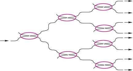1×8光分路器结构